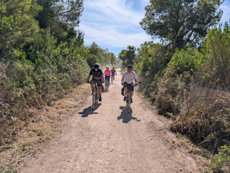 Pedalea entre viñedos, arrozales y mar: descubre la esencia del Mediterráneo